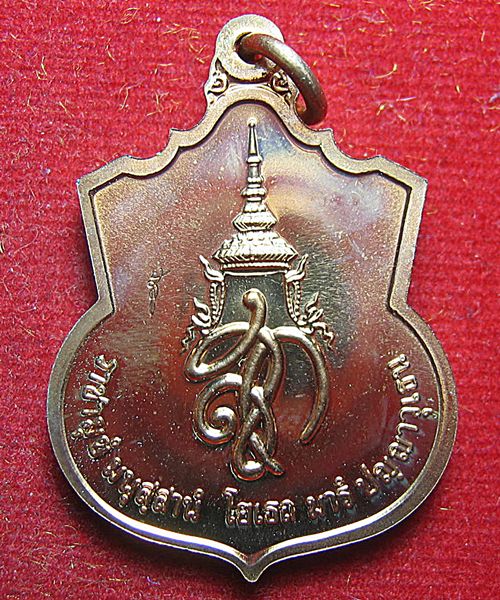 เหรียญพระนเรศวร รุ่นสู้ ปี 2548