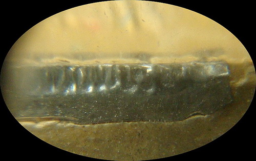 ลพ.เกษม เขมโก ที่ระลึกนะหน้าทอง ฝังตระกรุดเงิน ปี 36