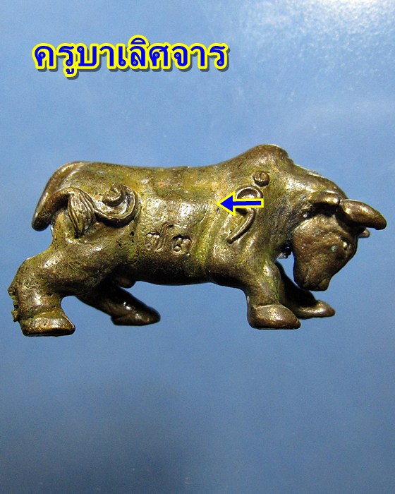 วัวธนูหลวงพ่อบุญเลิศ ปัญญาธโร วัดป่าสัก