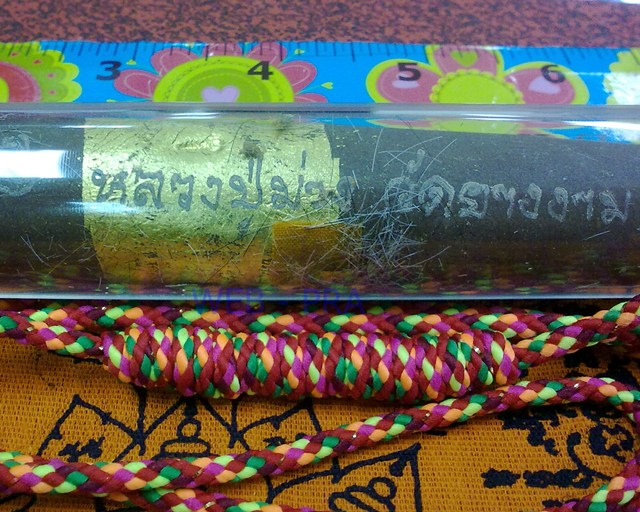 ตะกรุดโทน พอกผงยา หลวงปู่ม่วง นาคเสโน วัดยางงาม จ.ราชบุรี ดอกใหญ่ ประมาณ 7 นิ้ว
