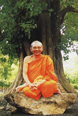 พระสมเด็จองค์ปฐม ยอดบายศรี หลัง หลวงพ่อฤาษีลิงดำ วัดถ้ำเขาวง(ถ้ำนารายณ์) สระบุรี