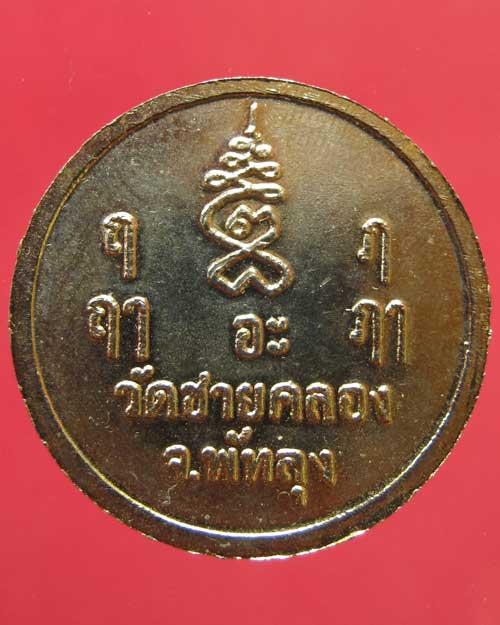 เหรียญอายุ๑๐๐ปี ล.พ.พลับ วัดชายคลอง จ.พัทลุง พ.ศ.2537
