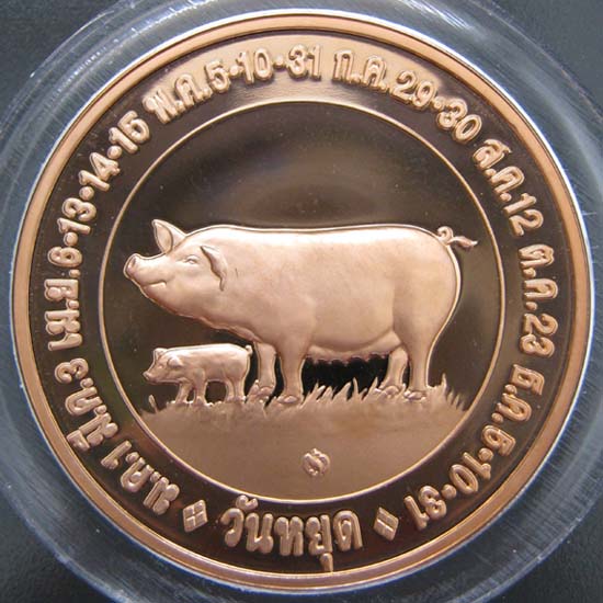 เหรียญบล็อคกษาปณ์ วันหยุด ปีกุน 2550 สวย