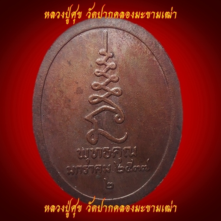 เหรียญหลวงปู่ศุข วัดปากคลองมะขามเฒ่า เนื้อทองแดง ปี๒๕๓๗ เคาะเดียว