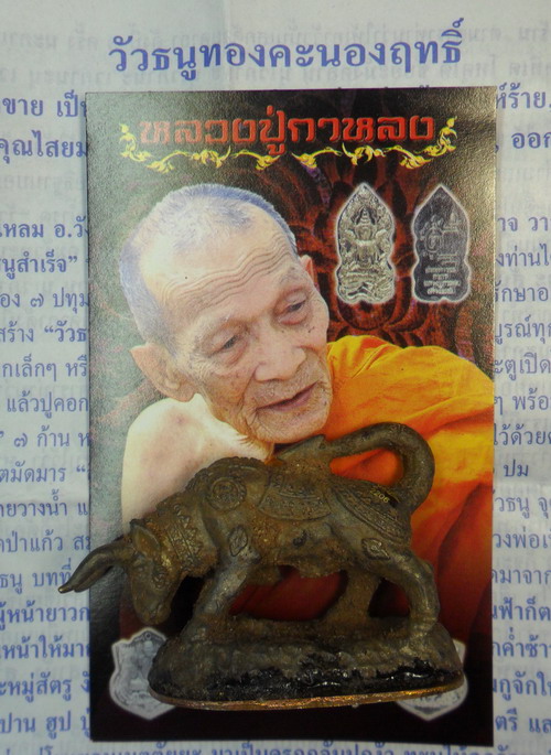 วัวธนูทองคะนองฤทธิ์ เนื้อสัมฤทธิ์เทดินไท ปี ๕๑ หลวงปู่กาหลง เขี้ยวแก้ว