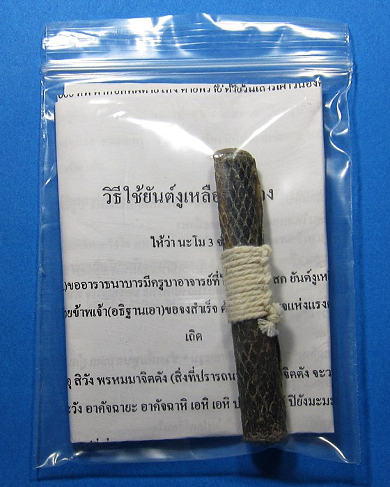 ตะกรุดหนังงูเหลือมหลวง (อุดผงอาถรรพ์)