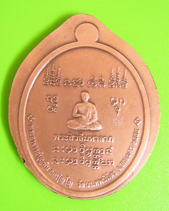 เหรียญสารพัสดี ทองแดงซาตินไม่ตัดปีก หลวงปู่บุญพิน กตปุญโญ วัดผาเทพนิมิตร สกลนคร 