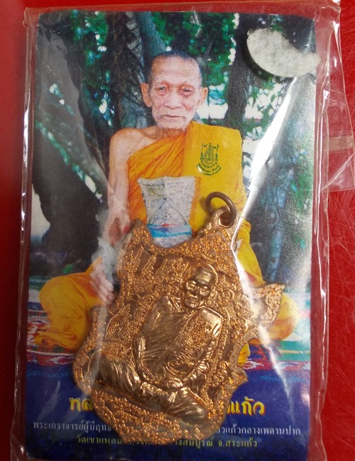 เหรียญพระนารายณ์แปลงรูป หลวงปู่กาหลง ไตรมาศ ๔๙