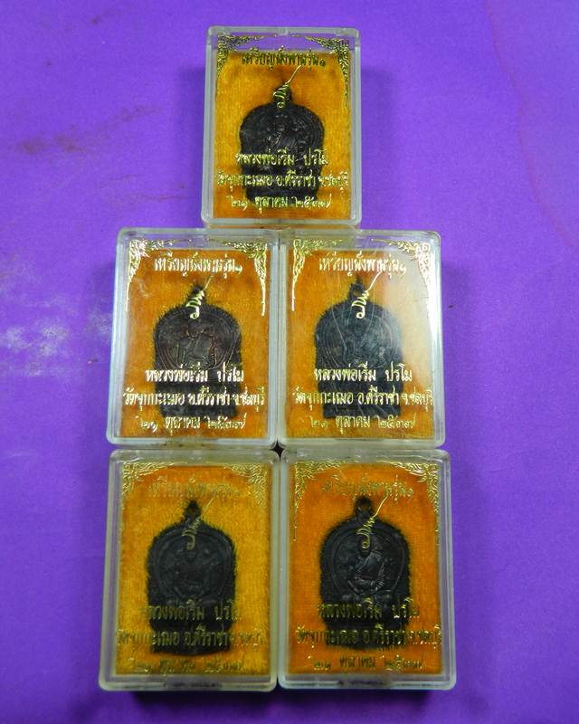 เหรียญนั่งพาน ยันต์กระบองไขว้ หลวงปู่เริ่ม ปรโม วัดจุกกะเฌอ เนื้อทองแดง 5 องค์