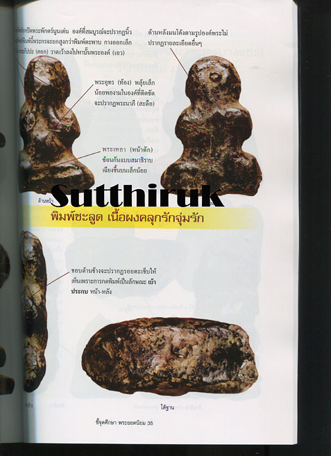 หนังสือ ชี้จุดศึกษา พระยอดนิยม (ชี้จุดลับ ตำหนิพิมพ์ เปิดมุมมองทุกมิติ)