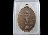 เหรียญพระพุทธ วัดเขากรวด ราชบุรี.เริ่ม20บาท/.(13/กพ.--06)