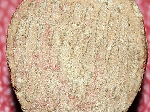 งบน้ำอ้อยเนื้อดิน