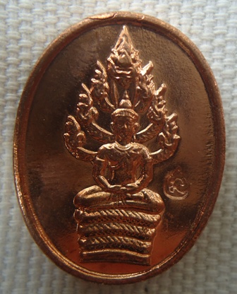 เหรียญพระนาคปรก ไตรมาศ 51  หลวงพ่อสาคร วัดหนองกรับ ระยอง กล่องเดิม