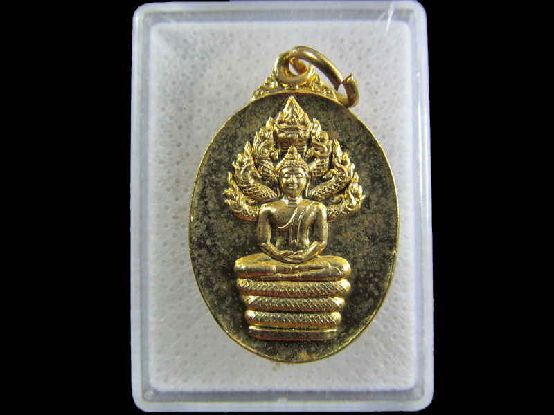 เหรียญพระนาคปรก วัดโพธินิมิตรฯ กรุงเทพฯ ปี2538 .เริ่ม20บาท/.(25/กพ.--12)