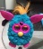  ตุ๊กตา Furby สีฟ้าหูชมพู มาแล้วครับ ท่านใดสนใจสั่งเลย 