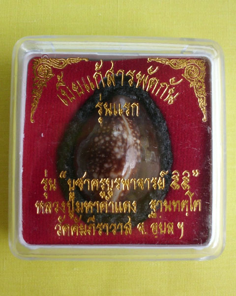 เบี้ยแก้สารพัดกัน รุ่นแรก หลวงปู่คำแดง ฐานะทัตโต   หมายเลข 224 **เคาะเดียว**1**