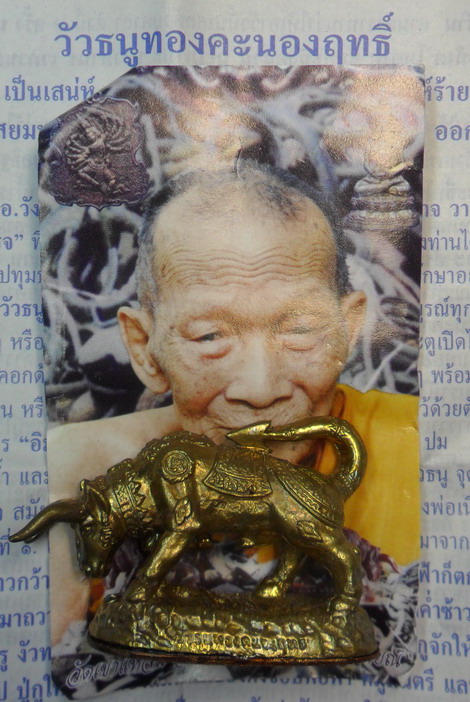 วัวธนูทองคะนองฤทธิ์ เนื้อปลอกลูกปืน ปี ๕๑ หลวงปู่กาหลง เขี้ยวแก้ว