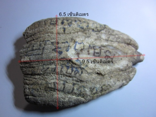 ของแปลก หายาก มือเทวดา