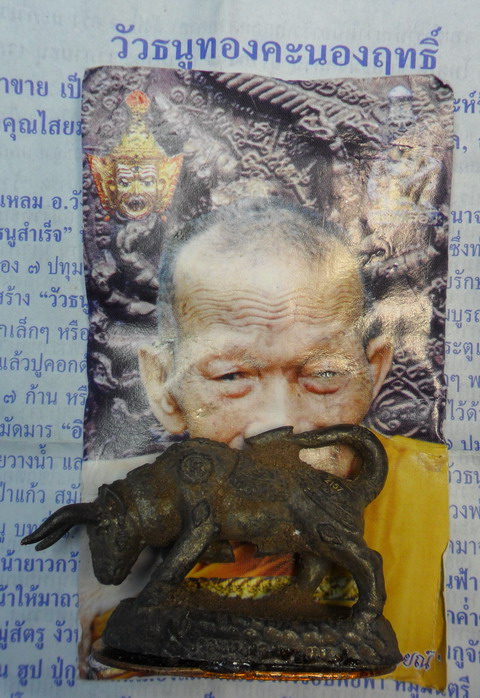 วัวธนูทองคะนองฤทธิ์ เนื้อสัมฤทธิ์เทดินไท ปี ๕๑ หลวงปู่กาหลง เขี้ยวแก้ว