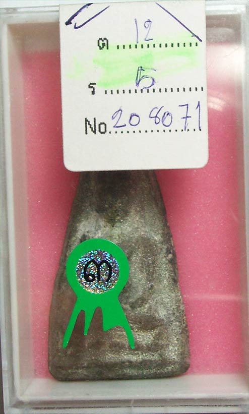 หูยานพิมพ์กลาง เนื้อชินเขียว จ.ลพบุรี ติดรางวัลที่ 3