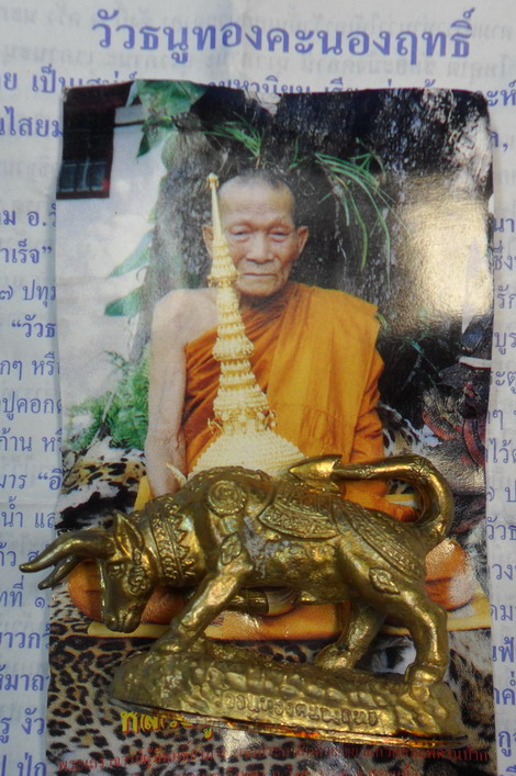 วัวธนูทองคะนองฤทธิ์ เนื้อปลอกลูกปืน ปี ๕๑ หลวงปู่กาหลง เขี้ยวแก้ว หมายเลข ๑๐๕๙