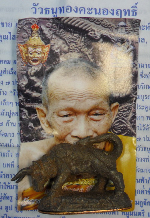วัวธนูทองคะทองฤทธิ์ เนื้อสัมฤทธิ์เทดินไท ปี ๕๑ หลวงปู่กาหลง เขี้ยวแก้ว หมายเลข 4739