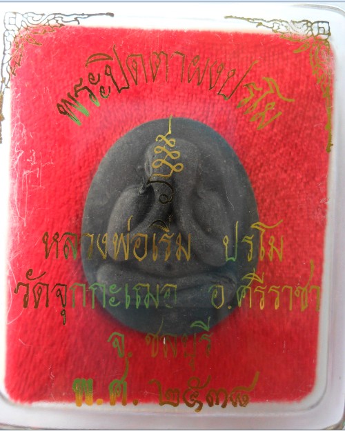 พระปิดตาเนื้อผง 12 นักษัตร์ หลวงพ่อเริ่ม วัดจุกเฌอ ปี2538 จ.ชลบุรี รุ่นจันทร์เพ็ญ