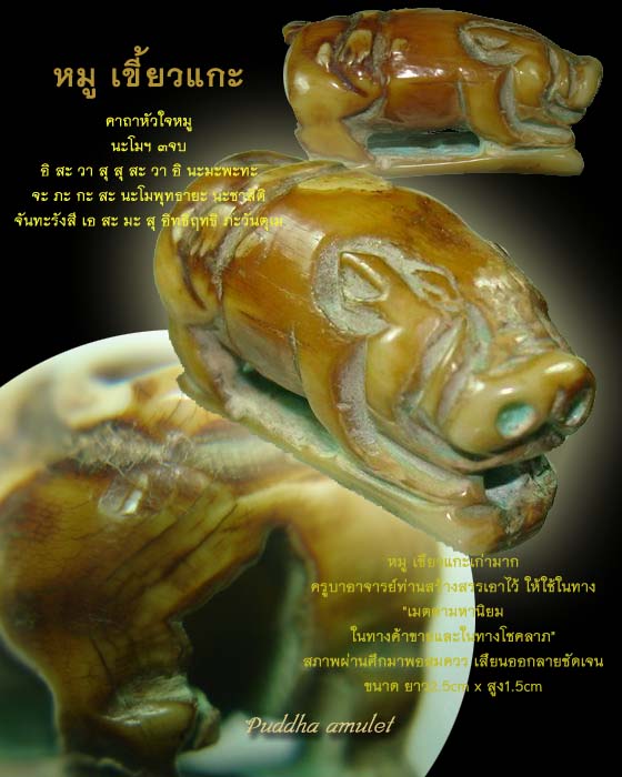 หมู เขี้ยวแกะ