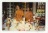 รูปภาพหลวงปู่สรวง(เทวดาเล่นดิน)พิธีไหว้ครู หลวงปู่สร้อยทำถวาย  ขนาด 4P(4x6 ซม) 