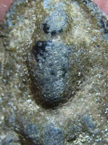 พระร่วงยืนประทานพร เนื้อชินเขียว จ.สุโขทัย สภาพพอใช้