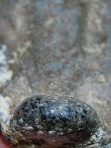 พระร่วงยืนประทานพร เนื้อชินเขียว จ.สุโขทัย สภาพพอใช้