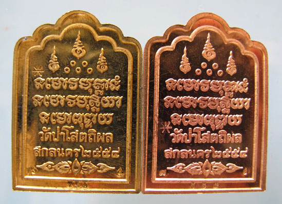 หลวงปู่บุญหนา ธมมทินโน รุ่นซุ้มร่ำรวย สองเหรียญสองเนื้อ สวยมากเคาะเดียวเลย