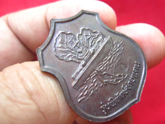 เหรียญอาร์มกรมหลวงชุมพรฯ รุ่นพิทักษ์ชายแดน ปี 2538 เนื้อทองแดงรมดำ ตอกโค้ด