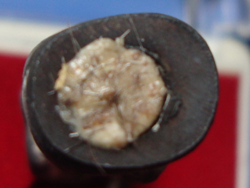 สิวลี มหามงคล 100 ปี นวะโลหะเต็มสูตร หลวงปู่เกลี้ยง โนนแกด ศรีสะเกษ