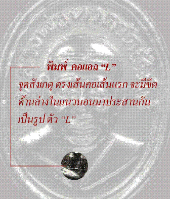 เหรียญเม็ดแตง อ.นอง รุ่นแรก ปี2542 บล็อกคอ L เนื้อทองแดงชุนนิเกิ้ล สภาพสวย
