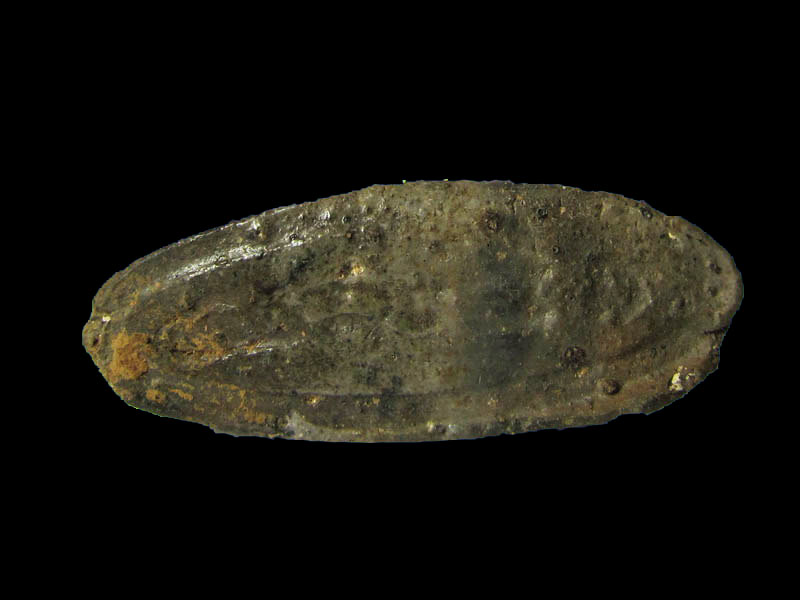 พระปางประธานพรหลังยันต์ ไม่ทราบที่ครับ(หน้าจะเป็นสายใต้).เริ่ม20บาท/.(04/เม.ย--31)