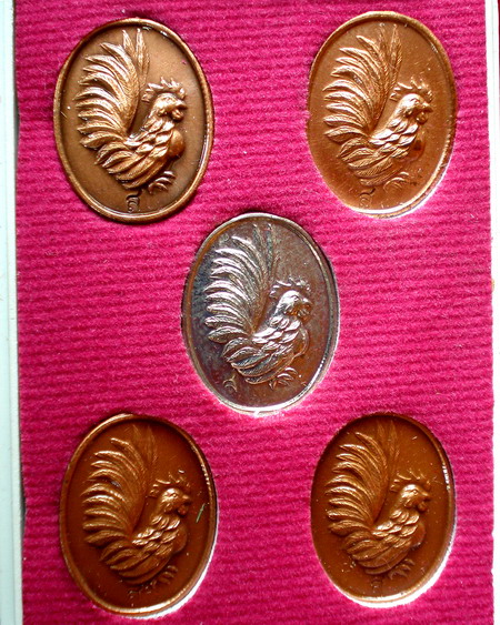 เหรียญเม็ดแตงไก่ รุ่นแรก หลวงปู่สรวง