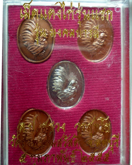 เหรียญเม็ดแตงไก่ รุ่นแรก หลวงปู่สรวง