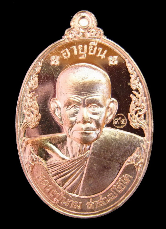 เหรียญอายุยืน เนื้อทองแดง หลวงปู่นาม วัดน้อยชมภู่#501