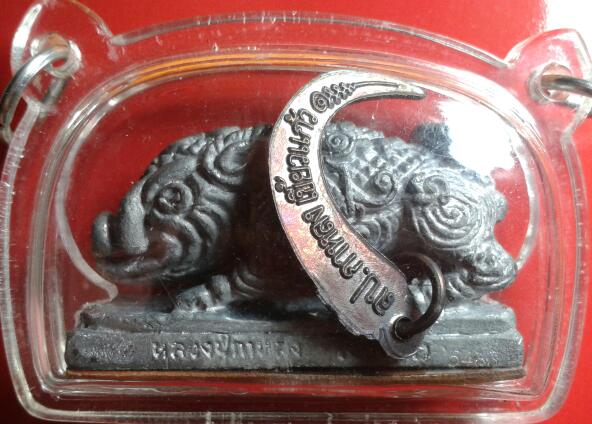 หมูพลิกแผ่นดิน รุ่น2 เนื้อตะกั่ว เคาะเดียวแดง