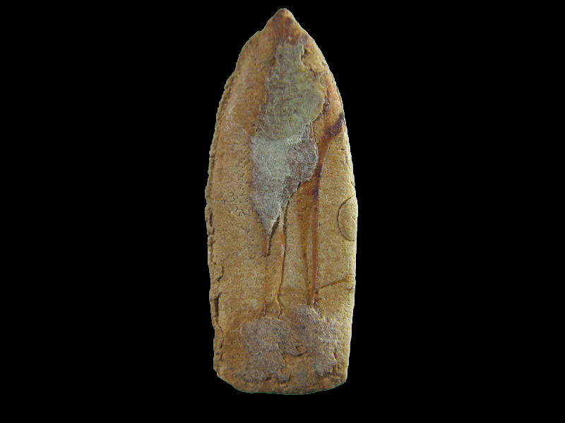 พระลีลาเนื้อชานหมากเคลือบ ไม่ทราบวัดครับ คุ้นๆตานึกไม่ออกครับ.เริ่ม20บาท/.(15/เม.ย--54)