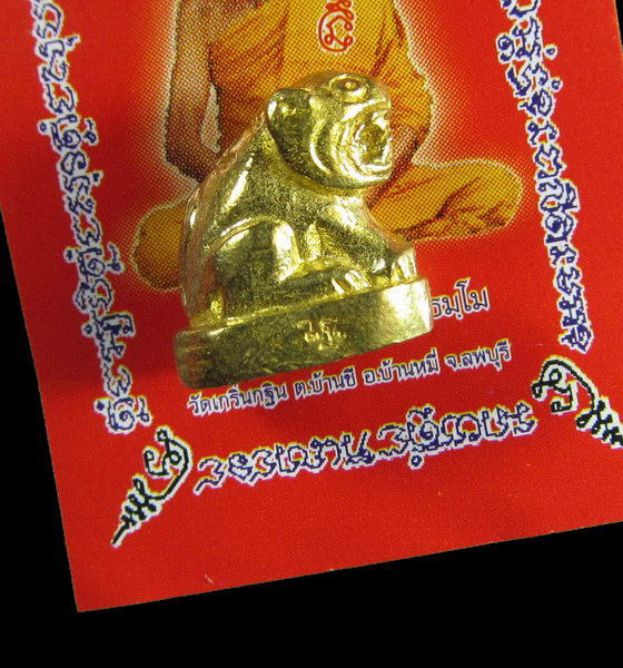 เสือจิ๋ว รุ่น 5 หลวงพ่อเพี้ยน วัดเกริ่นกฐิน พร้อมรูปพิมพ์จากวัดเดิมๆ .เริ่ม20บาท/.(16/เม.ย--98)