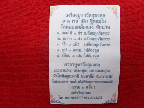ปลัดหัวชะมด ว่านดอกไม้ทอง หลวงพ่อเอิบ วัดซุ้มกระต่าย ชัยนาท