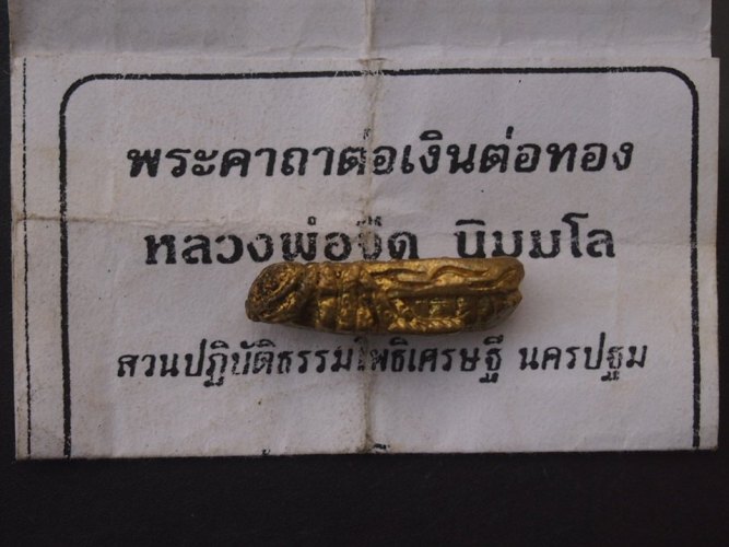 **เคาะเดียวแดง***พญาต่อ หลวงพ่อจืด สำนักสงฆ์โพธิ์เศรษฐี นครปฐม (พร้อมใบคาถา)