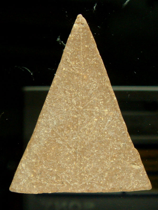 พระสมเด็จแสน (หลังใบโพธิ์)  ปี.๒๕๑๒ สมเด็จพระสังฆราช(ป๋า) วัดโพธิ์ (องค์ที่3)