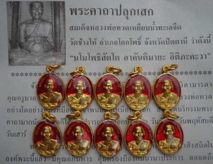 !! เม็ดแตงใหญ่ลงยาเคลือบเรซิ่น !! หลวงปู่ทวด วัดช้างให้ จำนวน 10 เหรียญ พร้อมใบคาถาจากวัด #115#