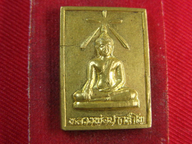 "จ่าสันต์" แดงเคาะเดียว/เหรียญหลวงพ่อปากน้ำโพ  วัดปากน้ำโพใต้  นครสวรรค์