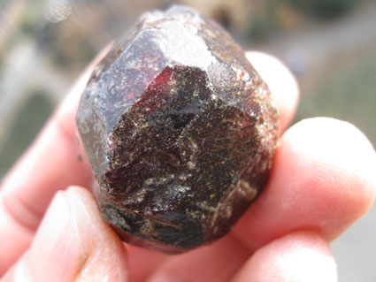 โกเมนธรรมชาติ (NATURAL Red GARNET)
