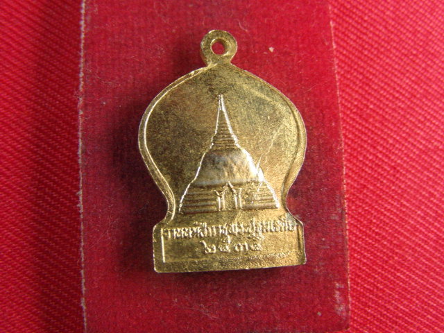 "จ่าสันต์" แดงเคาะเดียว/เหรียญพระร่วงโรจนฤทธิ์ งานนมัสการพระปฐมเจดีย์  ปี ๒๕๓๕