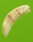 เขี้ยวเสือไฟ รุ่นฉลองอายุวัฒนมงคล หลวงพ่อเพี้ยน วัดเกริ่นกฐิน ลพบุรี
